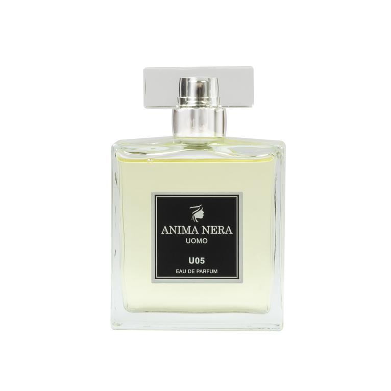 anima nera parfum u05 - 30% essence - inspired by 1 million 100 ml