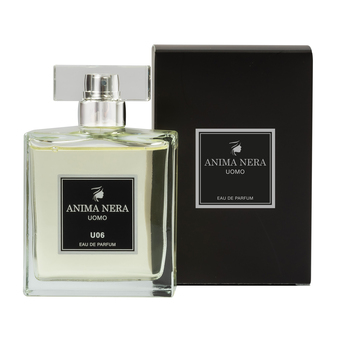 ANIMA NERA Parfum U06 - Essenza 30% - Ispirato a Acqua di Giò (Giorgio Armani) 100 ml