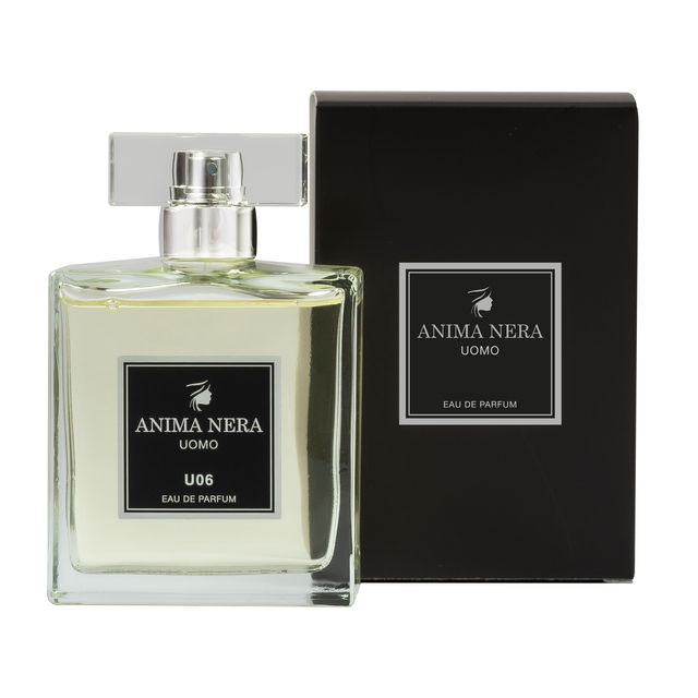 anima-nera-parfum-u06-ispirato-a-acqua-di-gio-giorgio-armani-100-ml