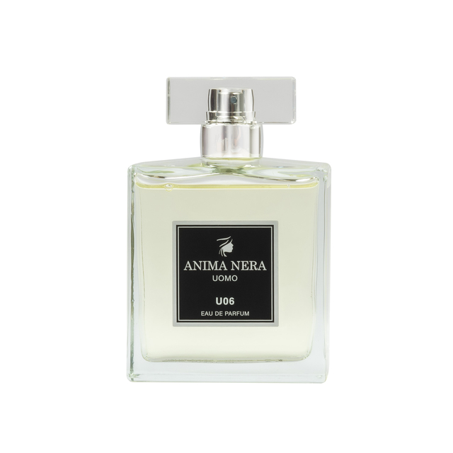 anima-nera-parfum-u06-inspired-by-acqua-di-gio-giorgio-armani-100-ml