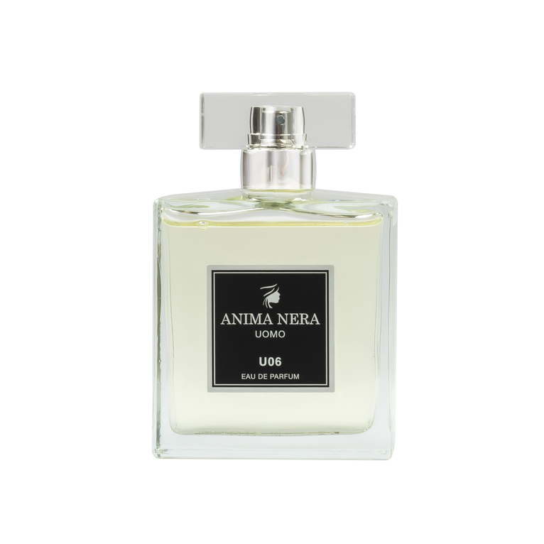 anima nera parfum u06 - essenza 30% - ispirato a acqua di giò (giorgio armani) 100 ml