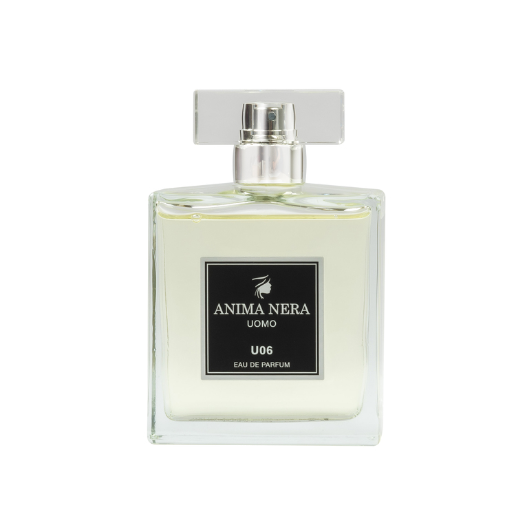 anima nera parfum u06 - essenza 30% - ispirato a acqua di giò (giorgio armani) 100 ml