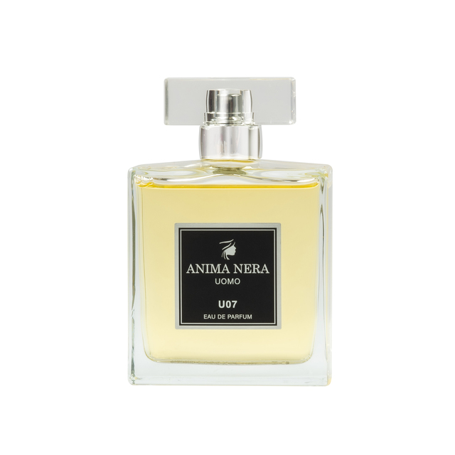 anima-nera-parfum-u07-inspired-by-terre-dhermes-hermes-100-ml