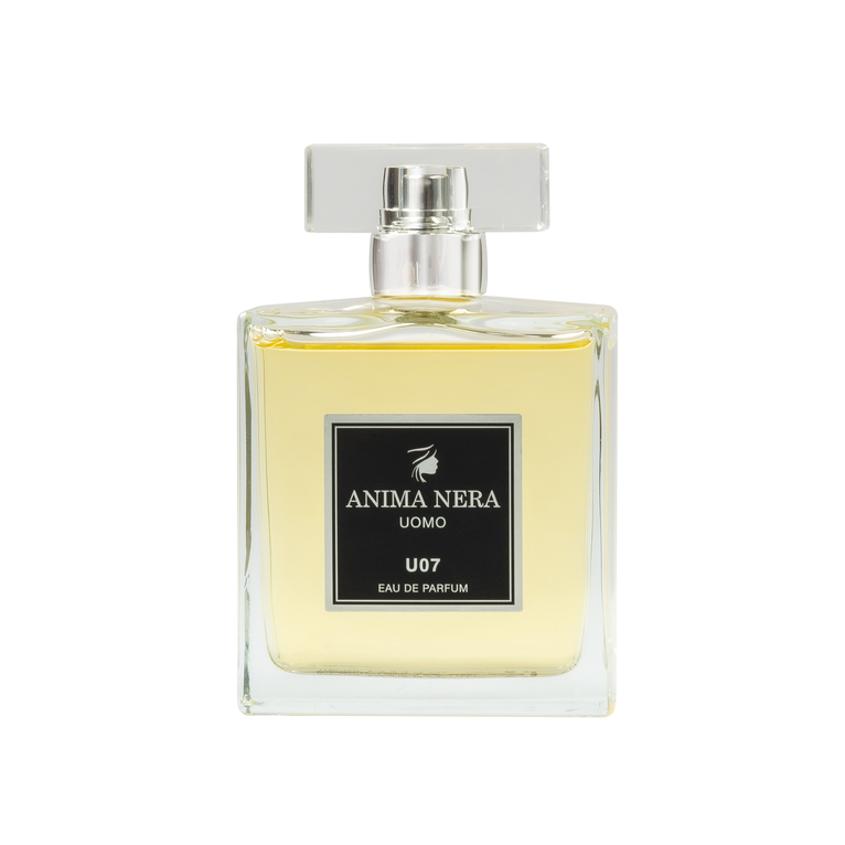 anima nera parfum u07 - essenza 30% - ispirato a terre d'hermès (hermès) 100 ml