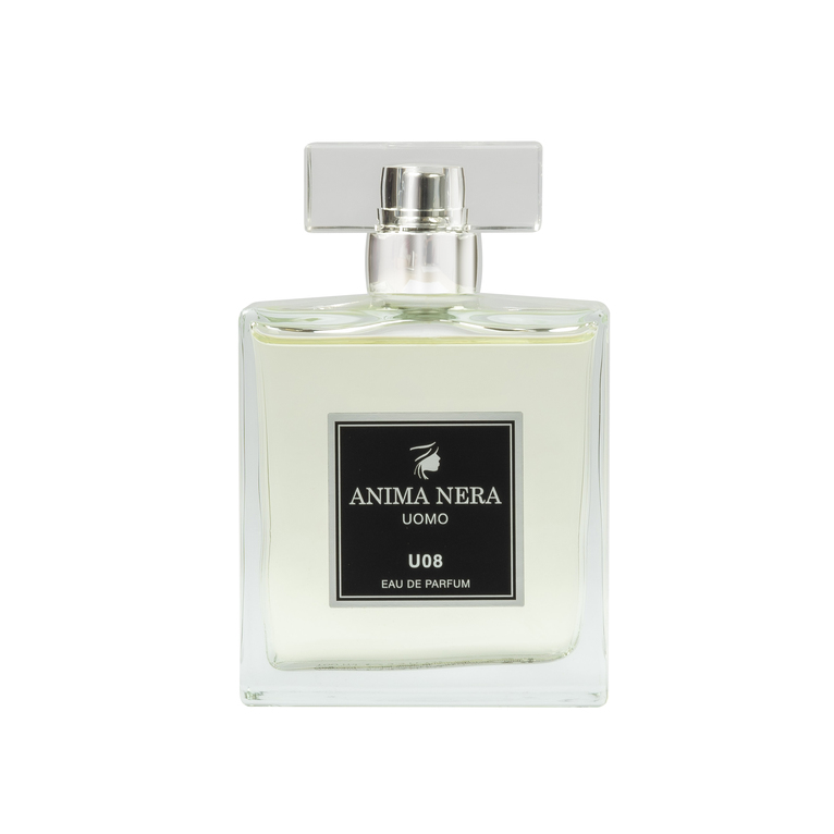 anima nera parfum u08 - 30% essence - inspired by light blue (dolce&gabbana) 100 ml