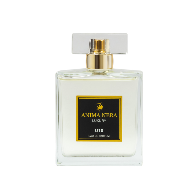 anima-nera-parfum-u10-ispirato-a-acqua-di-sale-profumum-roma-100-ml