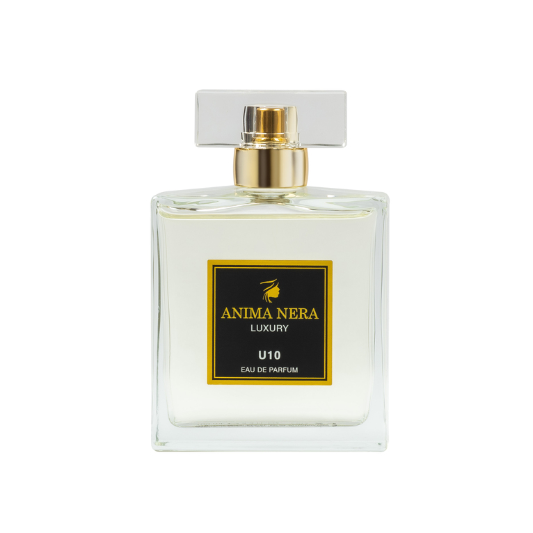 anima nera parfum u10 - essenza 30% - ispirato a acqua di sale (profumum roma) 100 ml