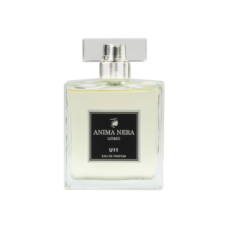 anima nera parfum u11 - 30% essence - inspired by blu (bulgari) 100 ml
