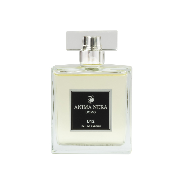 anima nera parfum u12 - 30% essence - inspired by invictus 100 ml