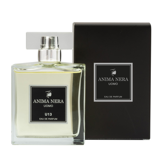 ANIMA NERA Parfum U13 - Essenza 30% - Ispirato a Man in Black (Bulgari) 100 ml