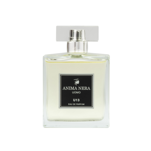anima-nera-parfum-u13-inspired-by-man-in-black-bulgari-100-ml