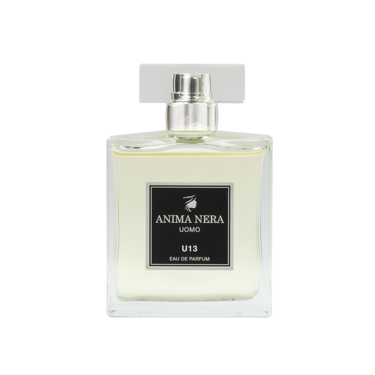 anima nera parfum u13 - 30% essence - inspired by black (bulgari) 100 ml
