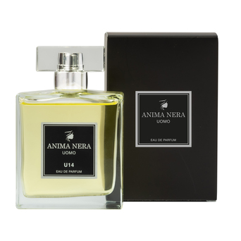 ANIMA NERA Parfum U14 - 30% essence - Inspired by Legend (Montblanc) 100 ml