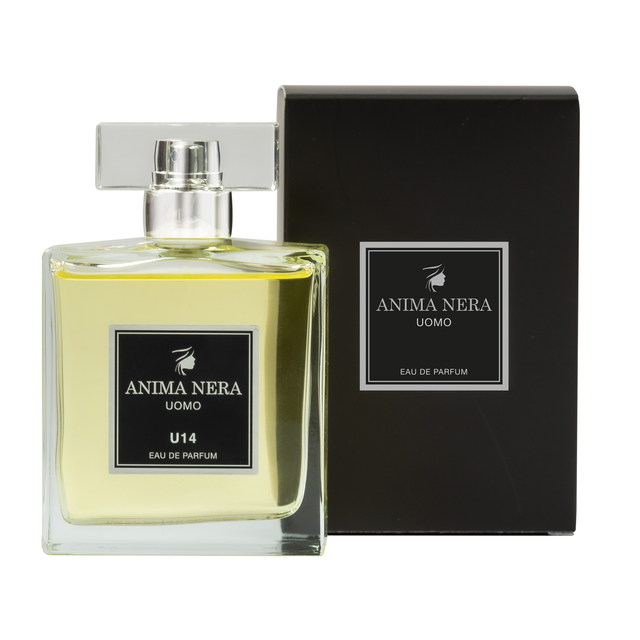 anima-nera-parfum-u14-inspired-by-legend-montblanc-100-ml