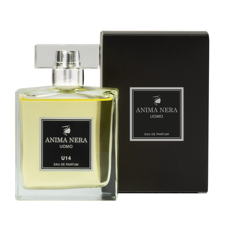 anima nera parfum u14 - 30% essence - inspired by legend (montblanc) 100 ml