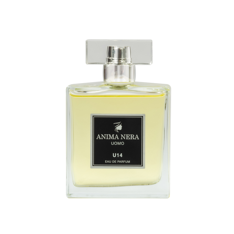 anima nera parfum u14 - 30% essence - inspired by legend (montblanc) 100 ml
