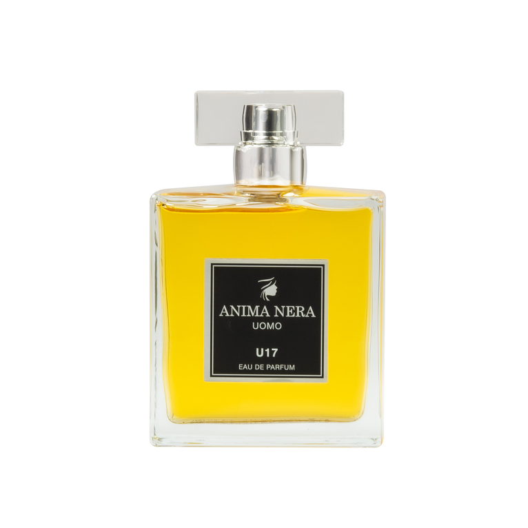 anima nera parfum u17 - 30% essence - inspired by man in black (bulgari) 100 ml