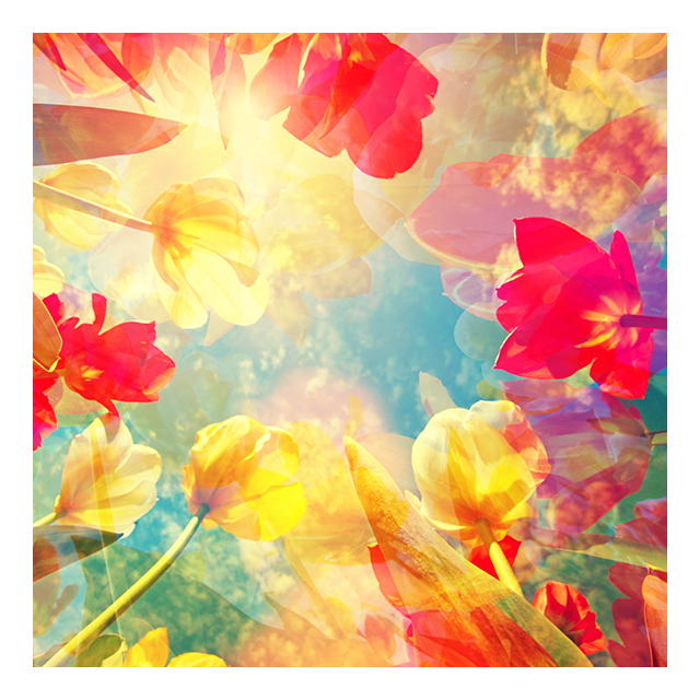 anima-nera-parfum-u30-essenza-30-percento-ispirato-a-arabians-tonka-100-ml