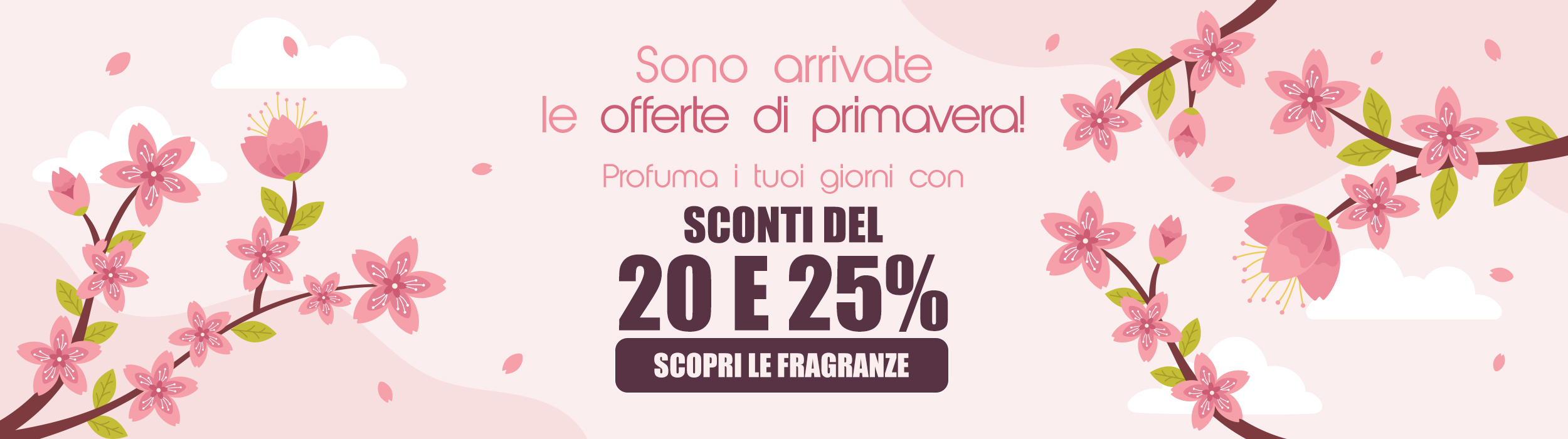 Offerte di primavera